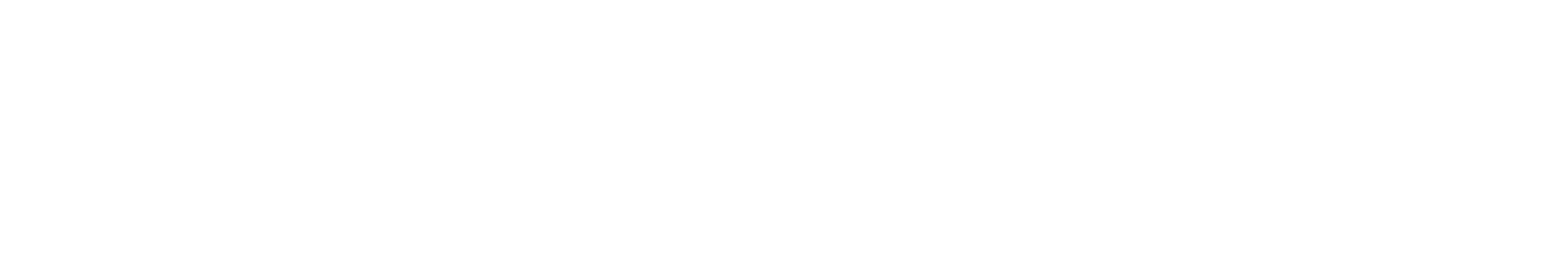 Logo T-Master